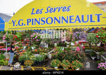 Montreal Canada,Quebec Province,mercato dell'acqua di Atwater,rue Saint Ambroise,vivaio,piante,fiori di fiori,visitatori viaggio viaggio turistico turismo landmar Foto Stock