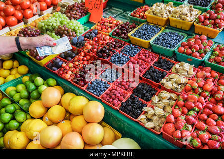 Montreal Canada,Quebec Province,mercato dell'acqua di Atwater,rue Saint Ambroise,produce,venditori ambulanti bancarelle mercato stand mercato, greengrogier,stalla,frutta Foto Stock