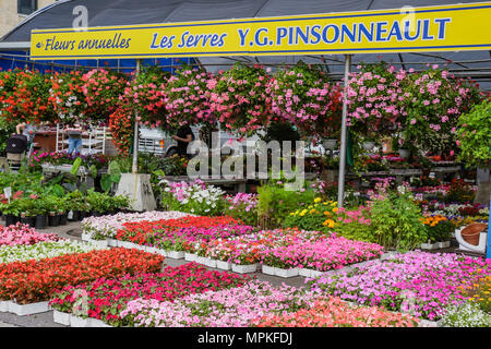 Montreal Canada,Quebec Province,mercato dell'acqua di Atwater,rue Saint Ambroise,fiore,venditore venditori bancarelle mercato stand mercato, asilo nido,cestini appesi, Foto Stock