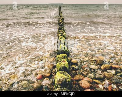 I frangiflutti in legno su una spiaggia del Mar Baltico con un sole nascosto in nuvole basse. Regolare il livello di acqua dopo la tempesta. Foto Stock