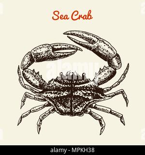 Il granchio di crostacei con artigli. Fiume e il lago o creatura del mare. Acquario di acqua dolce. Poster per il menu. Incisi disegnati a mano nel vecchio schizzo vintage. Frutti di mare sullo sfondo. Illustrazione Vettoriale