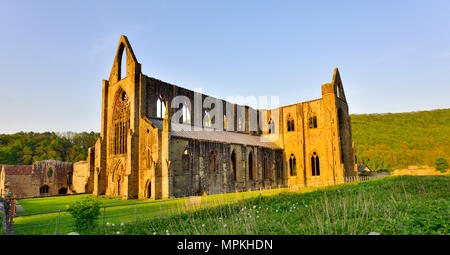 Tintern Abbey a Wye Valley, South Wales, Regno Unito Foto Stock