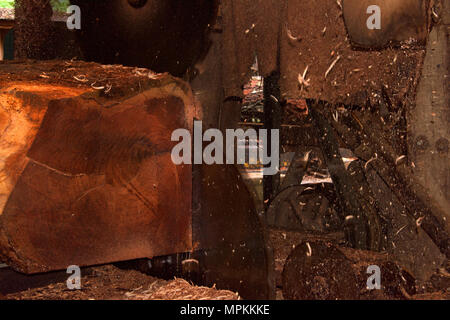 Lama in segheria di taglio dello strato di corteccia di log off legname durante il processo di macinatura, trucioli di legno e trucioli volare attraverso l'aria. Foto Stock