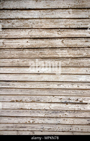 Peeling vernice bianca su weathered listoni in legno texture Foto Stock