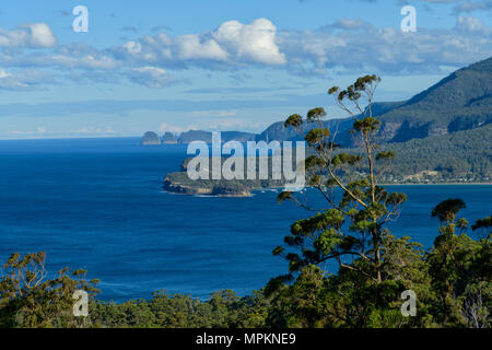 Oceania e Australia; Australiano, Tasmania; Penisola Tasmana, Eaglehawk collo; vista di Cape Hauy Foto Stock