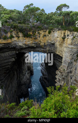 Oceania e Australia; australiana; Tasmania;Penisola Tasmana, Tasman National Park, Arco Tasmano (m) Foto Stock