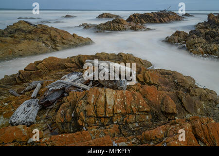 Australia e Tasmania, Costa Ovest, Tarkine Costa, Foto Stock