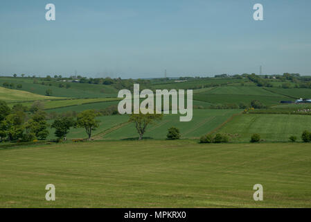 Guardando ad est dal villaggio di Tarbolton, Ayrshire, in Scozia Foto Stock