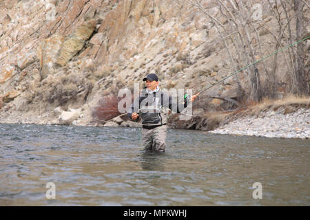 un pescatore adulto vola che guadi e casting su un fiume in Idaho Foto Stock