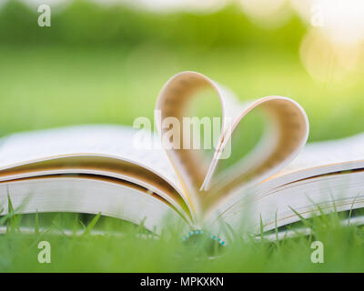 Libro sul tavolo in giardino con una parte superiore aperta e pagine costituenti forma di cuore Foto Stock