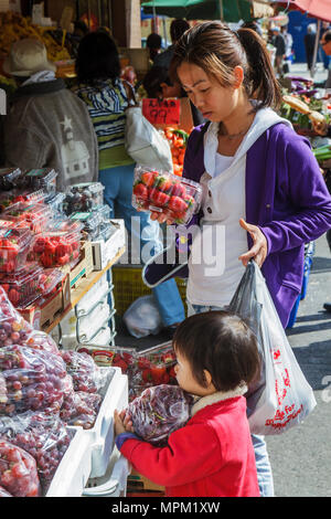 Toronto Canada, Spadina Avenue, Chinatown, quartiere etnico, shopping shopper shopping negozi mercati di mercato di vendita di mercato, vendita al dettaglio stor Foto Stock