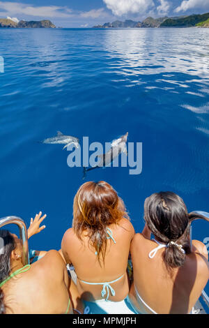 Indo-pacifico delfino maggiore, Tursiops aduncus, Chichi-jima, Bonin Isole Isole Ogasawara, Giappone, Oceano Pacifico Foto Stock