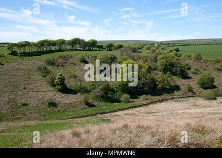 Simonsbath Exmoor Somerset England Regno Unito Europa Foto Stock