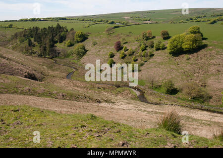 Simonsbath Exmoor Somerset England Regno Unito Europa Foto Stock