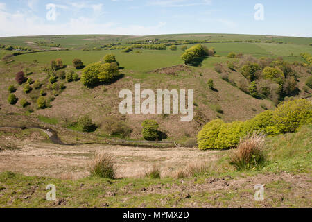 Simonsbath Exmoor Somerset England Regno Unito Europa Foto Stock