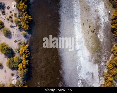 Cavalli selvaggi di acqua potabile e di pascolare nel fiume foto aerea Foto Stock