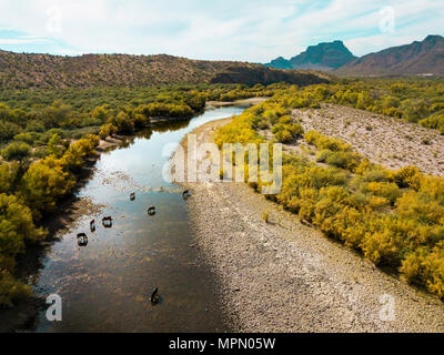 Cavalli selvaggi di acqua potabile e di pascolare nel fiume foto aerea Foto Stock