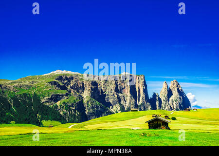 Vista sul massiccio dello Sciliar montagna in Alto Adige Foto Stock