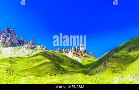 Vista sulle aspre montagne e prati verdi da Alpe di Siusi in Alto Adige Foto Stock