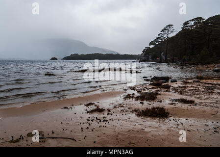 Vista panoramica del Lago di Killarney un nebbioso giorno contro sky Foto Stock