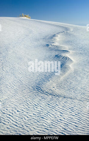 Risalti di vorticazione e modelli di trama definiscono White Sands National Monument. Foto Stock