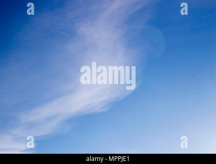 Cielo blu chiaro con rari sfocata nuvole bianche Foto Stock