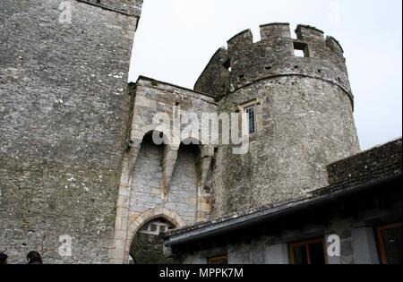 Castello di Cahir, cittadina di Cahir, nella contea di Tipperary, Irlanda Foto Stock