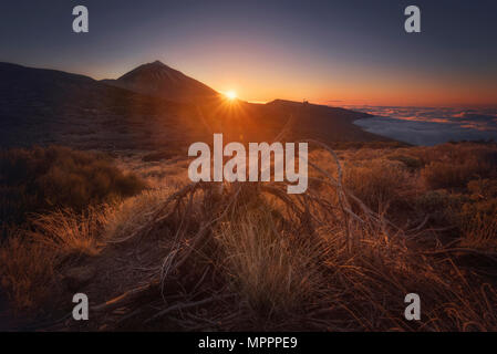 Spagna Isole Canarie, Tenerife, Parco Nazionale del Teide al tramonto Foto Stock