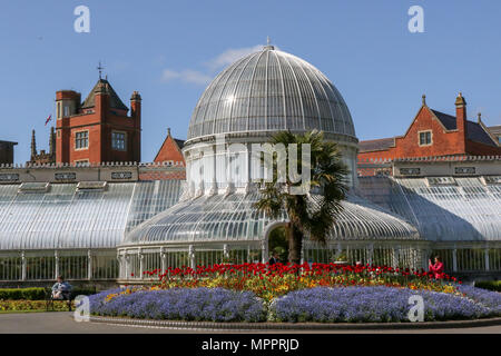 La hot house o la casa delle palme nel giardino botanico di Belfast, Irlanda del Nord. Foto Stock