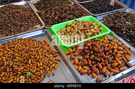 Le cavallette fritte, bruchi e kakalaks, Mercato Chillva, Phuket, Tailandia Foto Stock