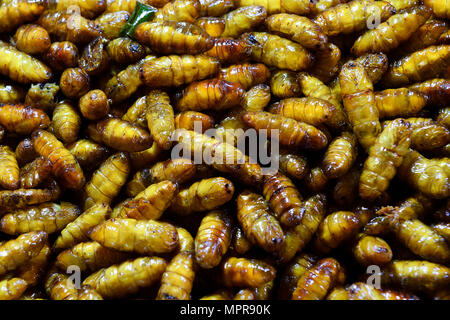Fried pupated bruchi, Chillva Mercato, Phuket, Tailandia Foto Stock