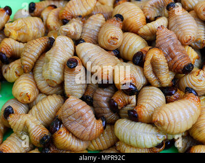 I bruchi fritti, Mercato Chillva, Phuket, Tailandia Foto Stock