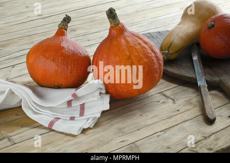 Red Hokkaido, la Cucurbita maxima e butternut, zucca Cucurbita moschata, su legno Foto Stock