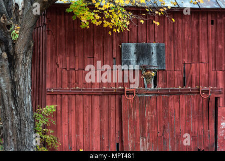 Un trascurato Basketball hoop montato su di un territorio rurale granaio rosso, New York, Stati Uniti d'America. Foto Stock