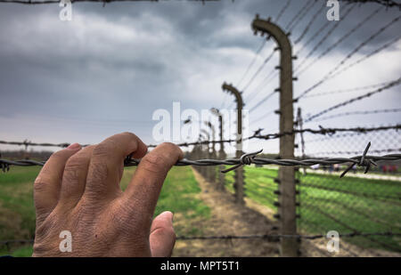 Elettrico fili spinati tedesco del campo di lavoro e sterminio nazista eredità di mondo Auschwitz Birkenau, Polonia Foto Stock