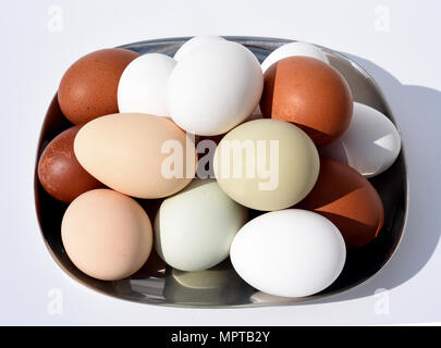 Huehnereier, Eier, ungefaerbt, bunte Foto Stock