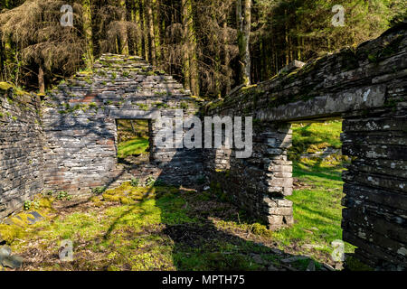 Ratgoed pronunciato Yr Allt Goed in modo nativo il gallese, è un ardesia abbandonati villaggio minerario della foresta Dyif, un paio di vecchie rovine sono lasciati alle spalle. Foto Stock