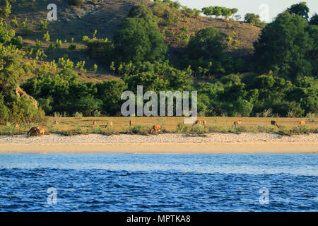 Sumbawa è un isola indonesiana, situato nel mezzo di Lesser Sunda Islands catena, con Lombok a ovest, Flores a est Foto Stock