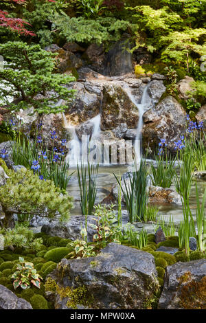 NIWA ha il giardino Ospitalità Chelsea 2018 Foto Stock