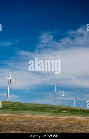 Windturbines su di un crinale, Blackspring Ridge progetto eolico da EDF EN Canada Inc e Inc Enbridge nel sud est di Alberta è costituito da 166 Vestas V100-1.8 Foto Stock