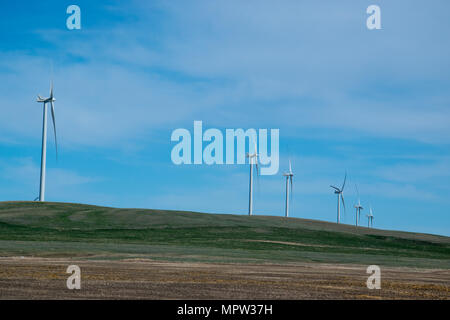 Windturbines su di un crinale, Blackspring Ridge progetto eolico da EDF EN Canada Inc e Inc Enbridge nel sud est di Alberta è costituito da 166 Vestas V100-1.8 Foto Stock