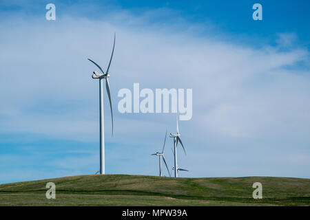 Windturbines su di un crinale, Blackspring Ridge progetto eolico da EDF EN Canada Inc e Inc Enbridge nel sud est di Alberta è costituito da 166 Vestas V100-1.8 Foto Stock