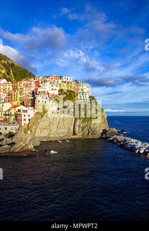 Il villaggio di pescatori di Manarola sorge su una penisola rocciosa sulla costa mediterranea nel certificato UNESCO Parco Nazionale delle Cinque Terre in Italia. Foto Stock