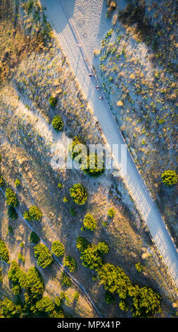 Vista panoramica di un percorso tthrought duna con flora in Toscana vicino a Viareggio, Italia Foto Stock