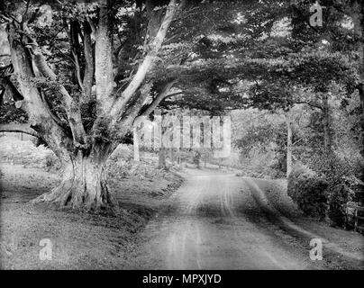 Il parco che circonda il castello di Highclere, Hampshire, C1860-c1922. Artista: Henry oggetto di scherno. Foto Stock