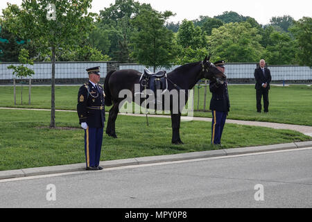 Riderless Horse al funerale militare presso il Cimitero Nazionale di Arlington Foto Stock