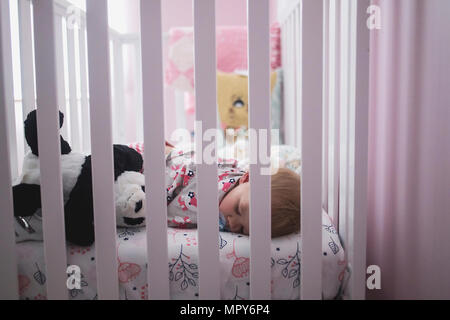 Baby girl dormire con il giocattolo imbottito nel presepe visto attraverso le ringhiere a casa Foto Stock