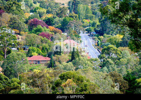 La colorata Foglie di autunno nelle colline di Adelaide città di Clarendon Foto Stock