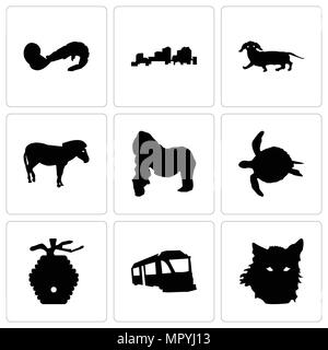 Set di 9 semplici icone modificabile come faccia di lupo, treno, beehive, tartarughe marine, gorilla, zebra, bassotto, Louisiana, gamberetti, può essere usato per il mobile, abbiamo Illustrazione Vettoriale