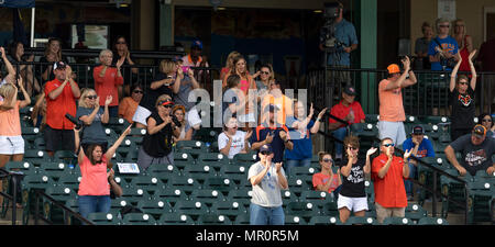 23 maggio 2018: Sam Houston tifosi entusiasti durante il 2018 Southland Conference Championships. Il gioco 3 New Orleans vs Sam Houston al campo di costellazione di Sugar Land, Texas. No. 8 New Orleans corsari sconvolto il No. 1 Sam Houston membro 4-3 in dieci inning, qualcosa non è accaduto poiché 2015 Foto Stock